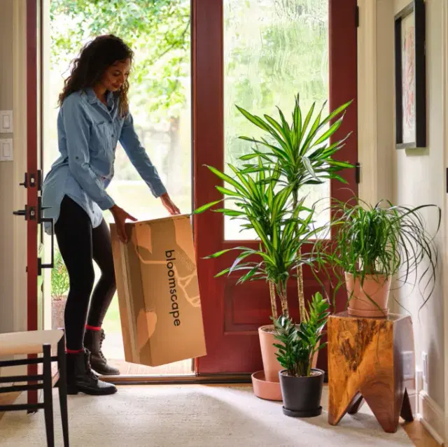 11. Plant Subscription Box