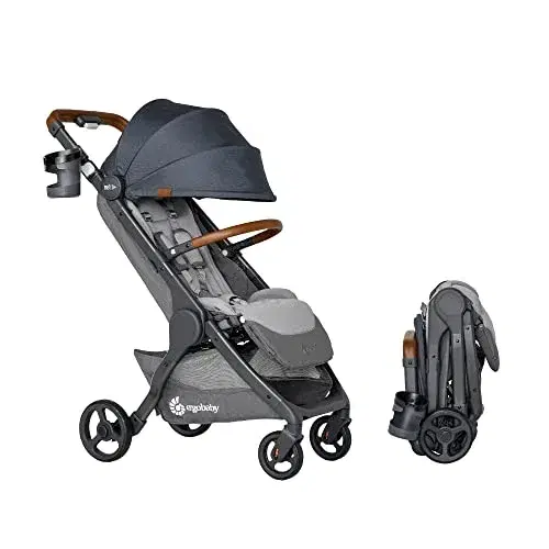 3. Ergobaby Metro+ Deluxe