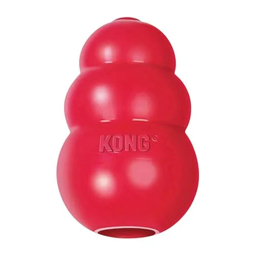 14. KONG Classic Dog Toy (KONG)