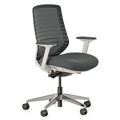 14. Branch Ergonomic Chair