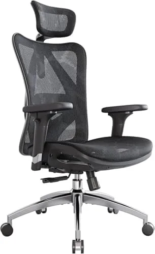 16. SIHOO M57 Ergonomic Office Chair