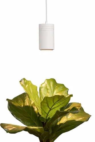 8. Soltech Solutions Aspect Grow Light